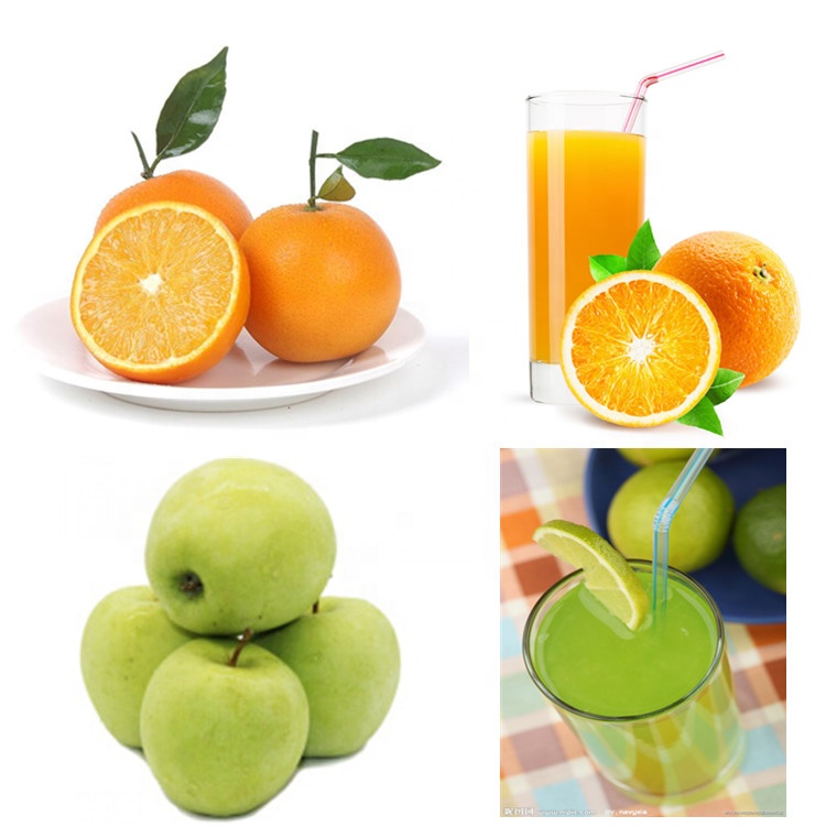 Máquina Extratora de Suco Indu - Cold Press Juicer avaliação e preço