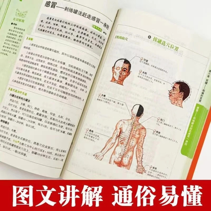 Série Saúde e Bem-Estar Holíst - Health Wellness Guide avaliação e preço
