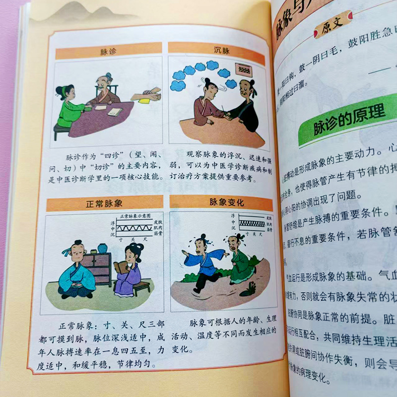 Guia Ilustrado do Huangdi Neij - Health Wellness Guide avaliação e preço
