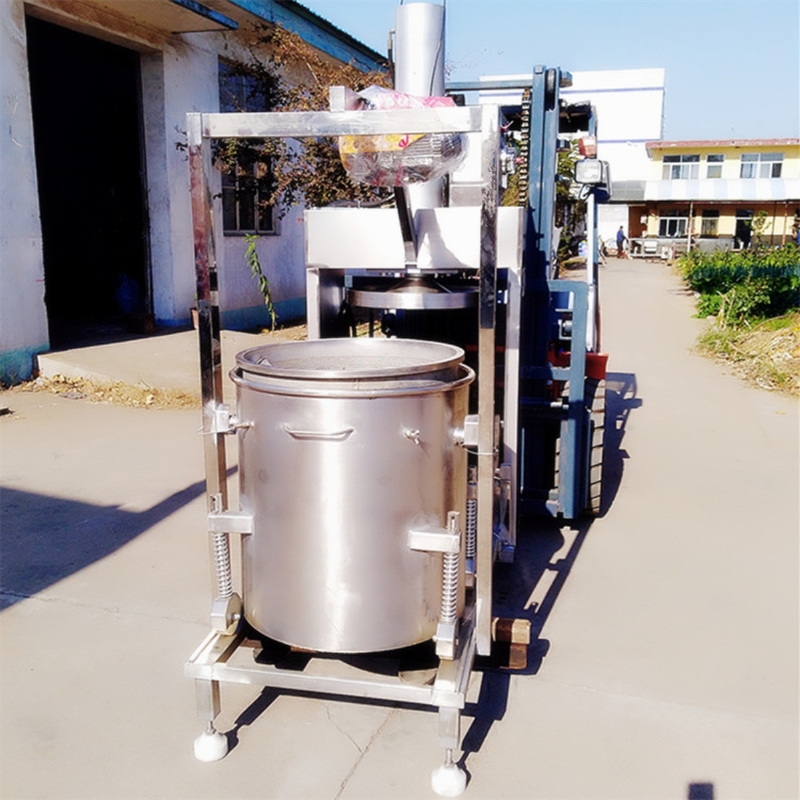 Extratores de Frutas e Tritura - Cold Press Juicer avaliação e preço